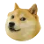 도지 카보스
