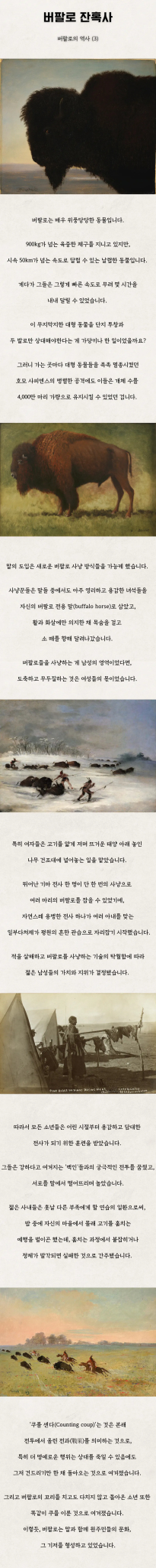 버팔로의 역사(잔혹사)