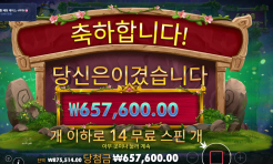 텐카지노