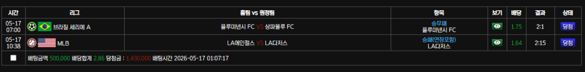 볼트카 스포츠 후기