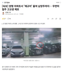 [속보] 양평 아파트서 '재규어' 훔쳐 남양주까지… 무면허 질주 고교생 체포