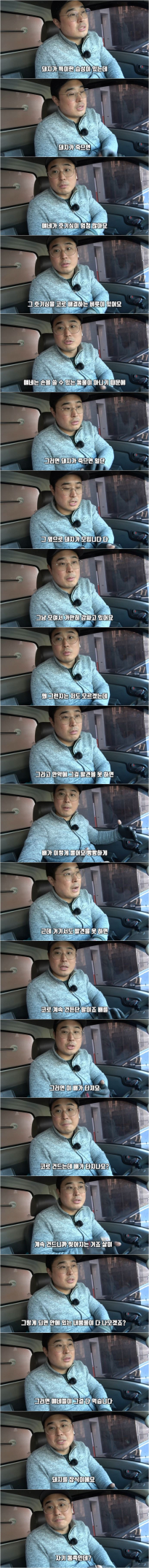 돼지농장에서 종종 '뼈' 가 나오게 된 이유...jpg