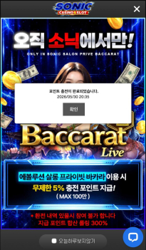 소닉카