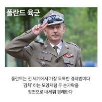 전 세계에서 가장 특히한 경례법을 쓰는 국가