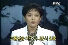 한국 하나운서 실종 사