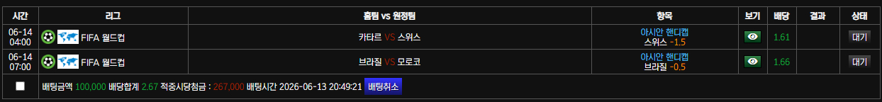 볼트 월드컵