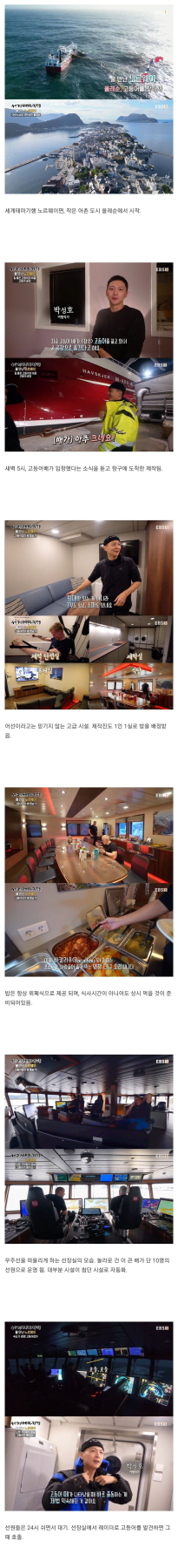 노르웨이 고등어 잡이