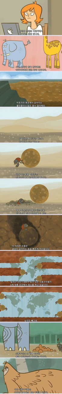 지구가 똥으로 뒤덮히지 않는 이유 (김 주의, 요약O)