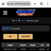소닉 슬롯후깁니다