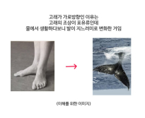 고래가 가로방향인 이유
