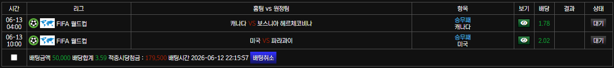월드컵 가자잇!