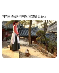 의외로 조선시대에도 있던것