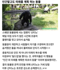 인간 말고도 미래를 계획하는 동물