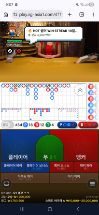 볼트 재재재입후기