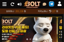 볼트카지노 후기