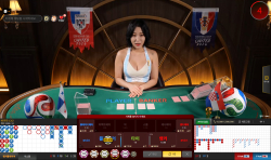섹시 바카라 후기