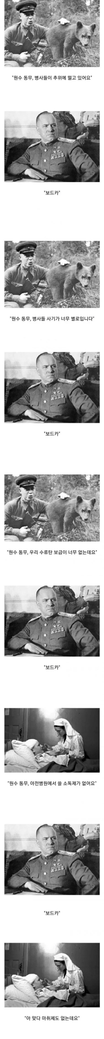 제 2차 세계대전 독소전쟁 당시 만능 보급품