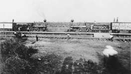1896년 미국의 도파민 얻기위한 쇼