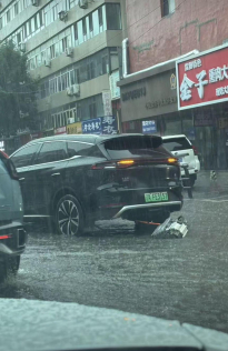 길 한복판에서 양수 터져버린 전기차 ㄷㄷㄷ..
