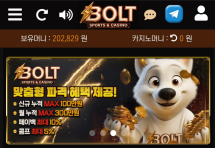 볼트카지노 후기