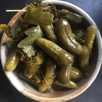 의외인 오크나무의 용도