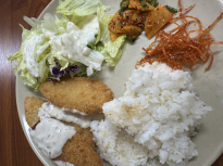 밥화나네