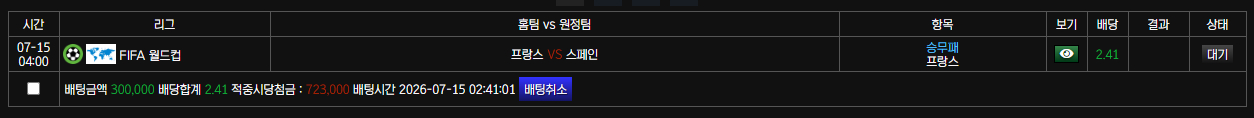월드컵 프랑스 가즈아~
