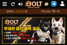 볼트카지노 후기