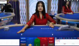 500 뿌