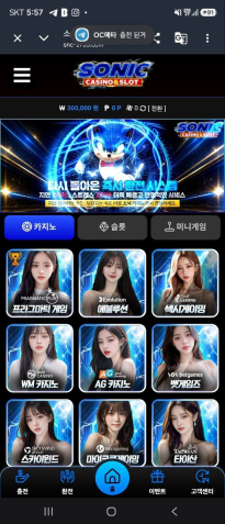소닉