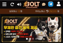 볼트카지노 후기
