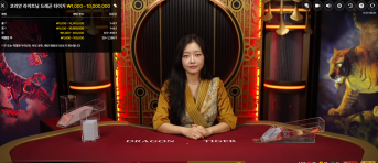 라이트닝 용호 딜러 이쁜데