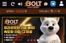 볼트카지노 후기