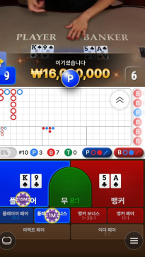 소닉 400만 투깡 1600만 ㅅㅅ