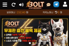 볼트카지노 후기
