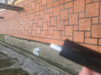 모닝 쌈배