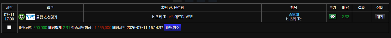 보스카지노