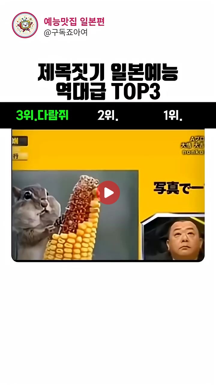역시 예능은 일본이다 ㅋㅋ 제목짓기 레전드