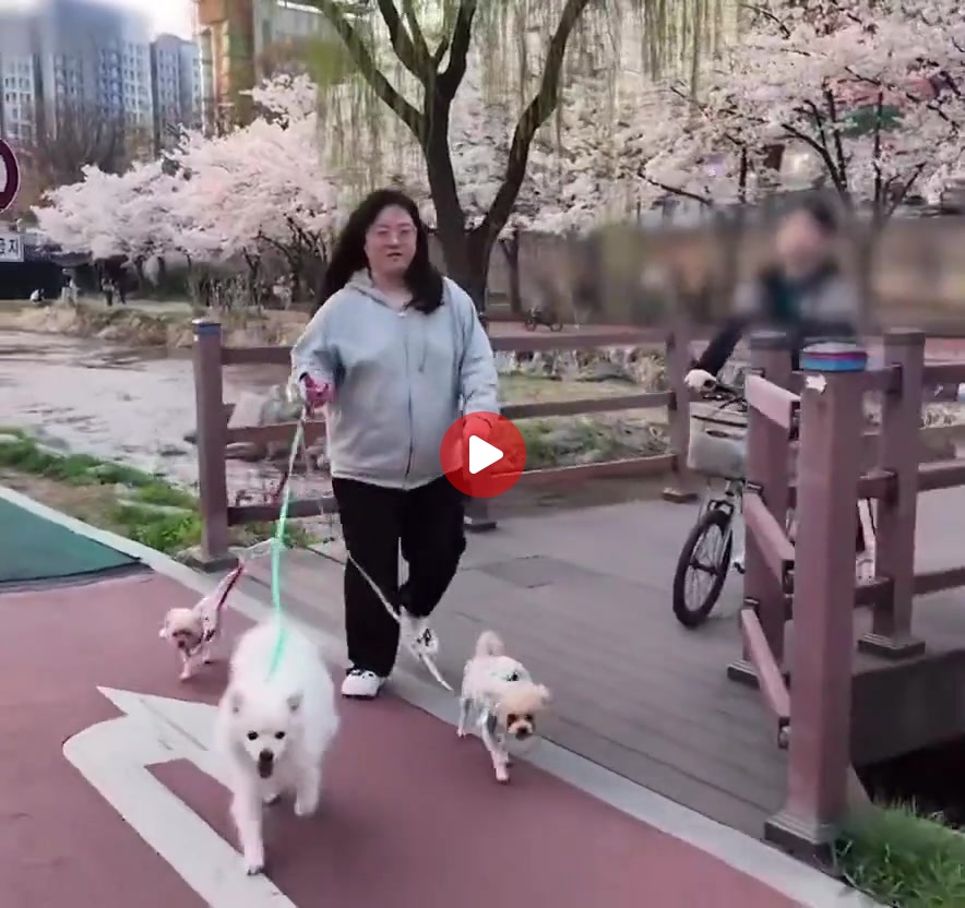 강형욱 개 빡침) 절대 개 키우면 안되는 사람