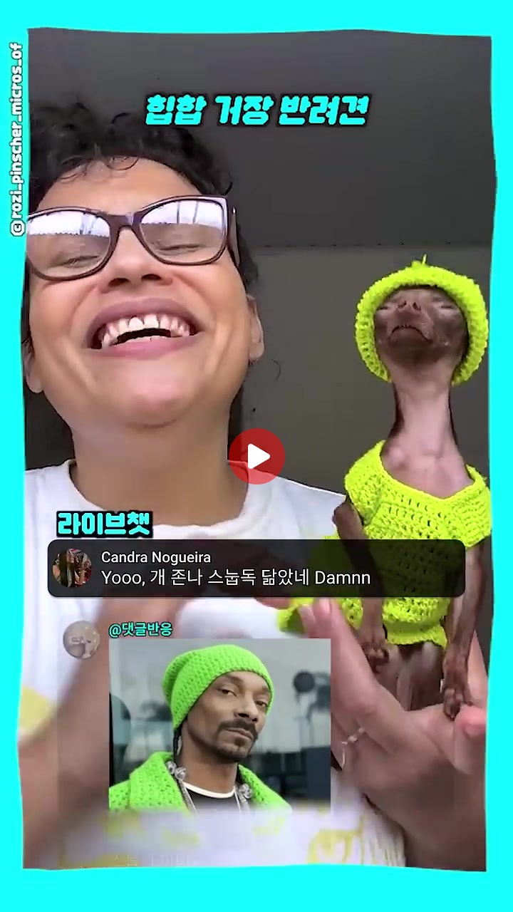 힙합 거장느낌에 반려견 ㅋㅋ