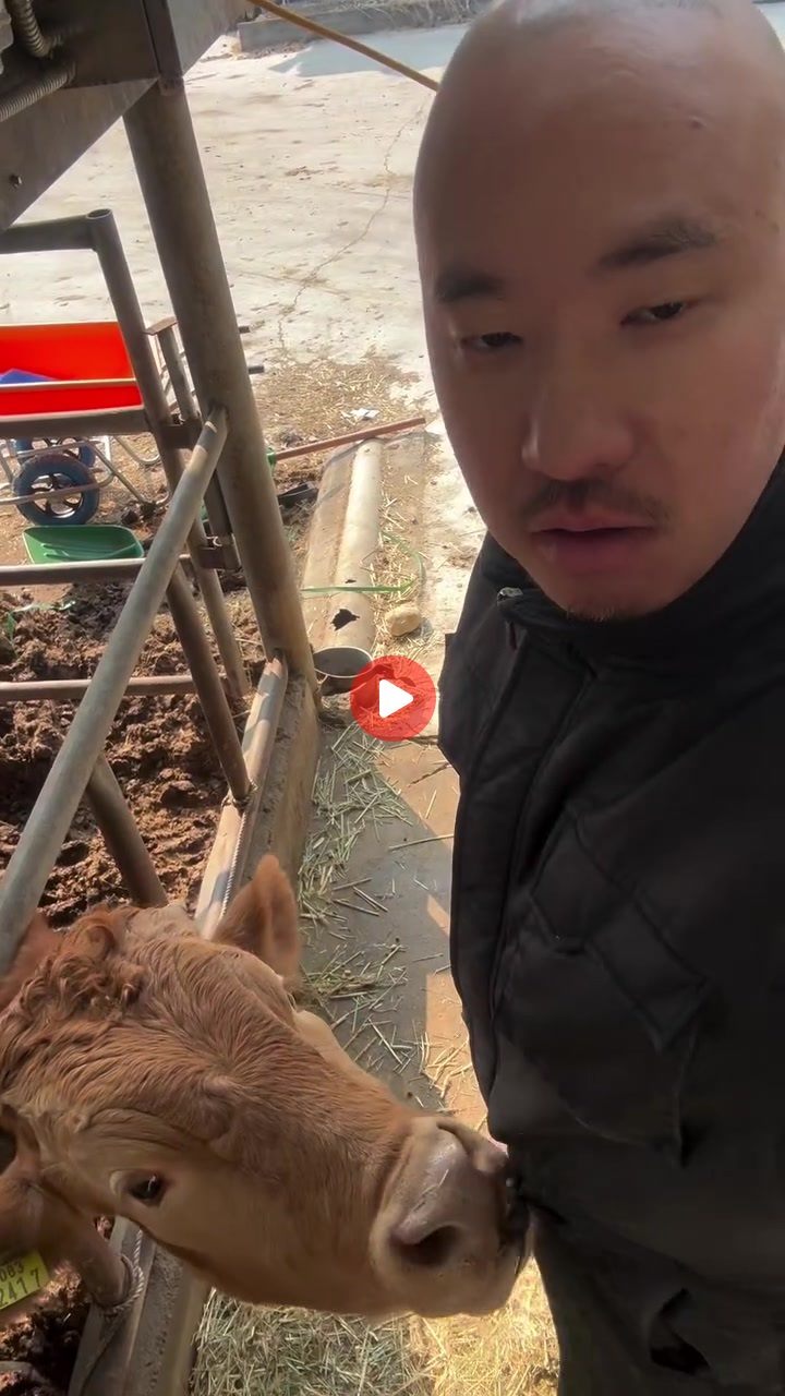 거기 아니야