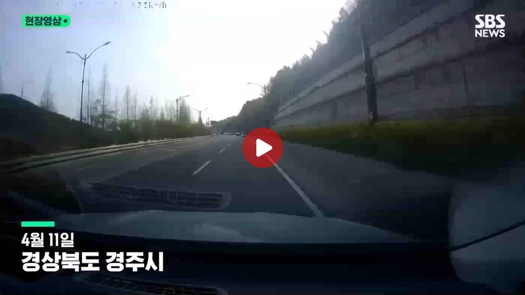 급발진 4명 사망 사고