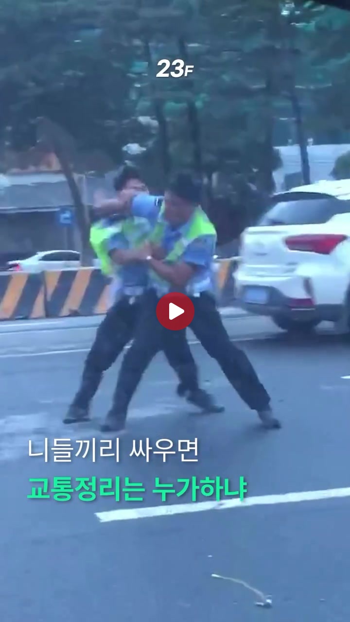 니들끼리 싸우면 교통정리는 누가하냐?