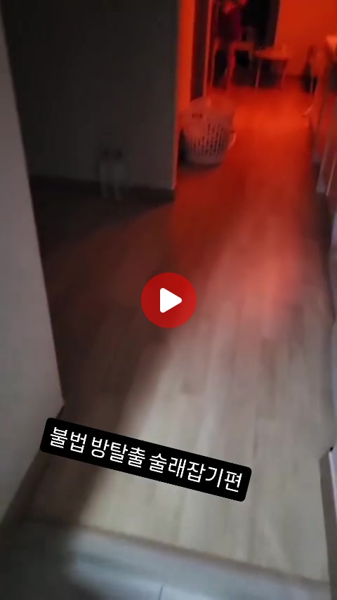 불법 오피녀와 술래잡기 ㄷㄷㄷㄷㄷ