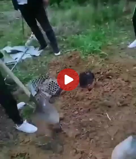 중국 마약조직에 피해입히면