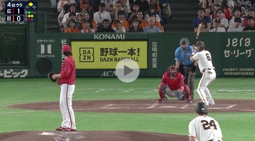 귀홍우석팜볼