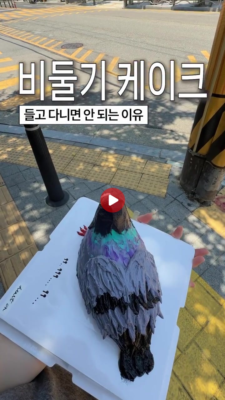 비둘기에 편견이 없는 어르신