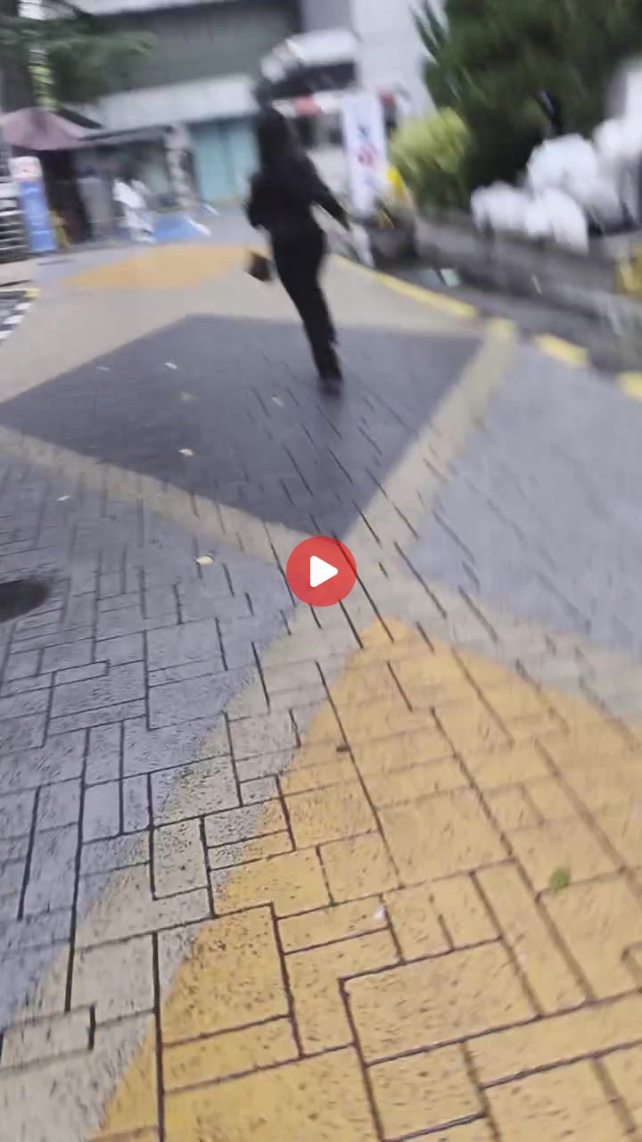 불법체류자 검거하는 인플루언서 ㅋㅋㅋ