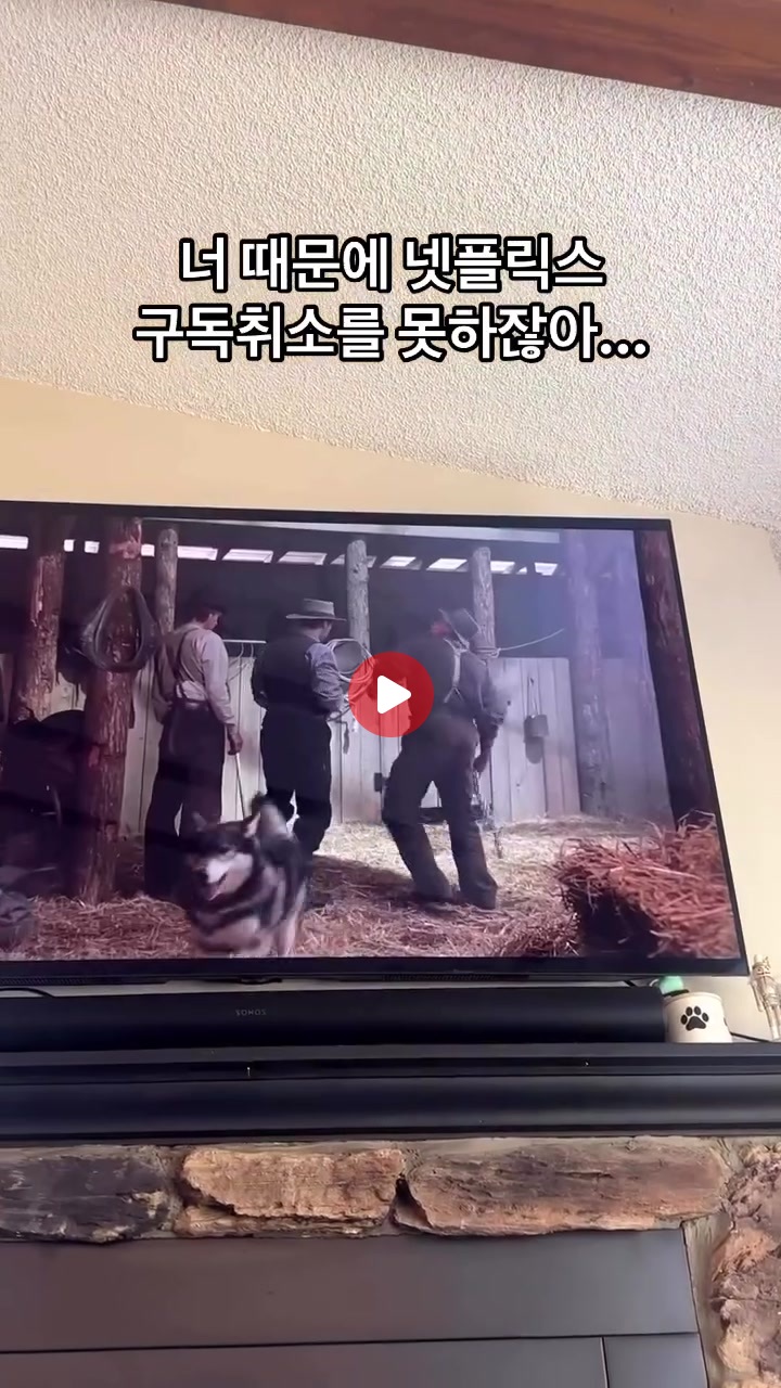 넷플릭스 구독을 취소하지 못하는이유